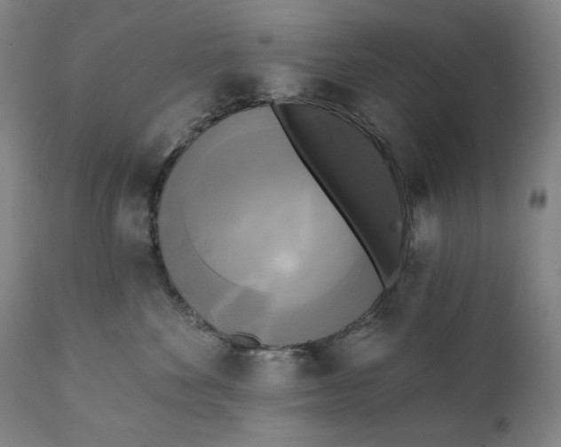 X0000111220524200907161255