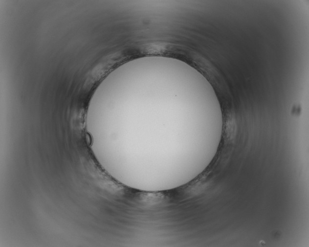X0000111220525200907161255