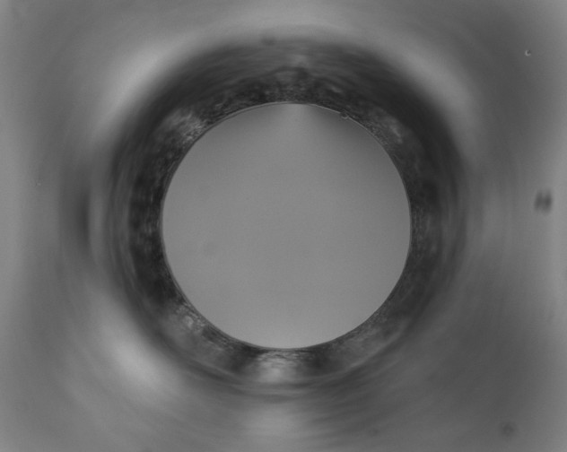 X0000111220526200907161255