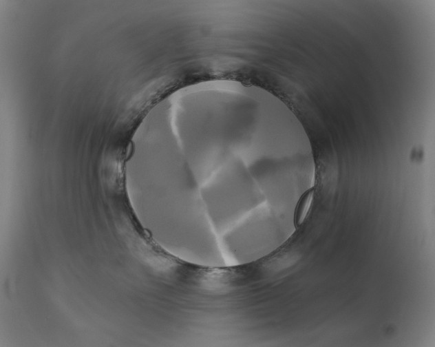 X0000111220527200907161255