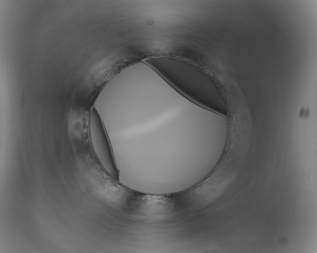 X0000111220528200907161255