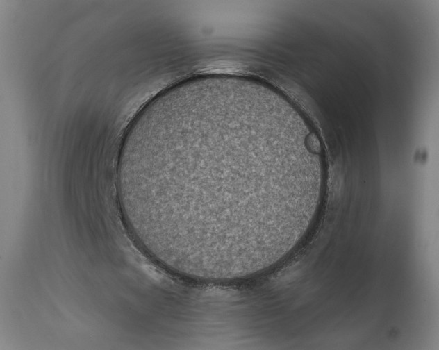 X0000111220529200907161254