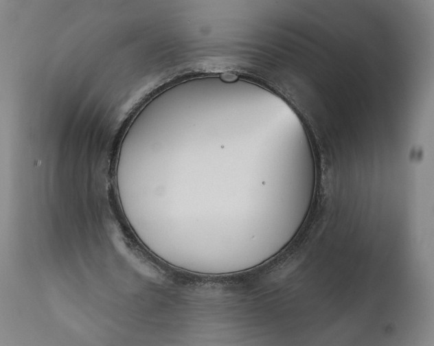 X0000111220530200907161254