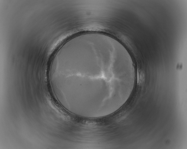 X0000111220531200907161254