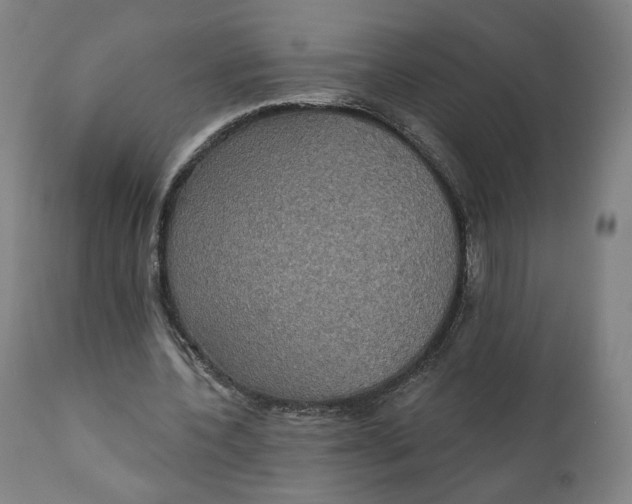 X0000111220532200907161254