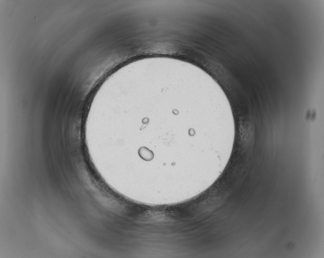 X0000111220534200907161254