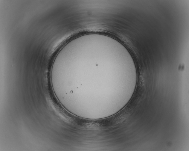 X0000111220535200907161254