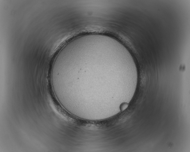 X0000111220538200907161254