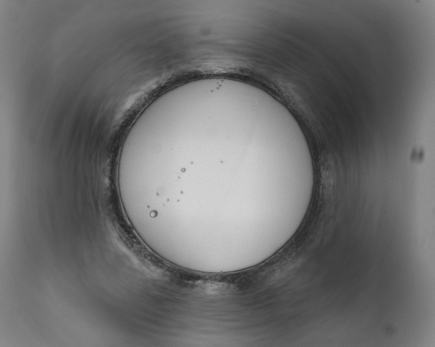 X0000111220539200907161254