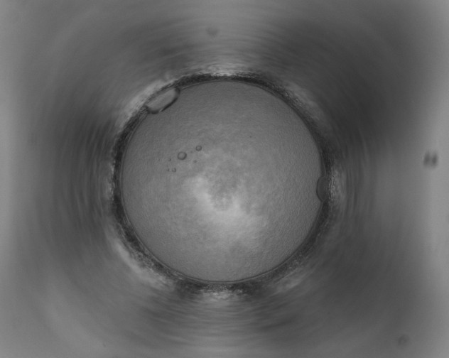 X0000111220540200907161254