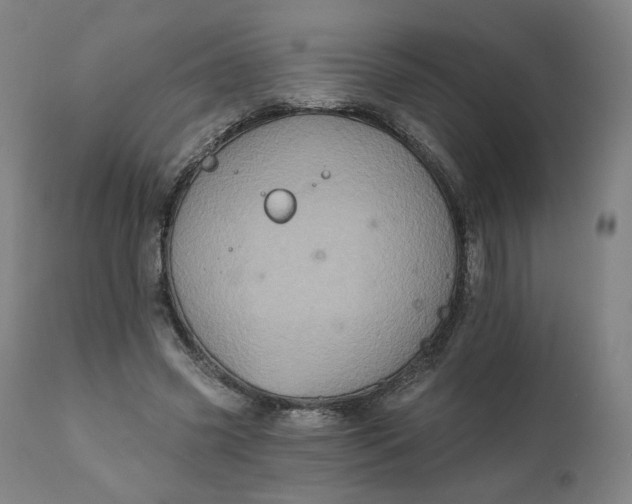 X0000111220541200907161254