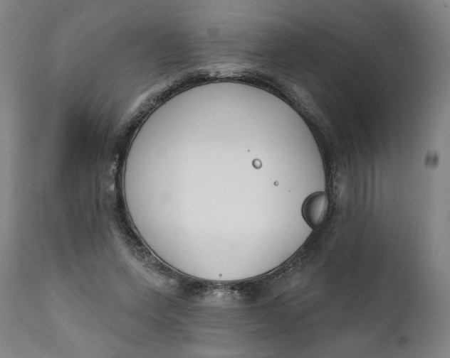 X0000111220543200907161254