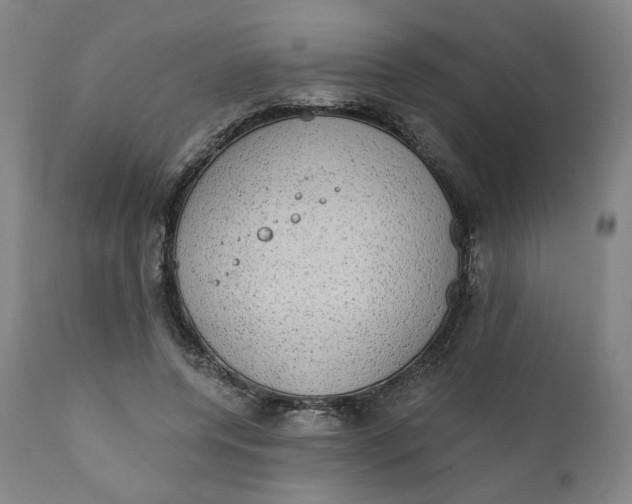 X0000111220544200907161254