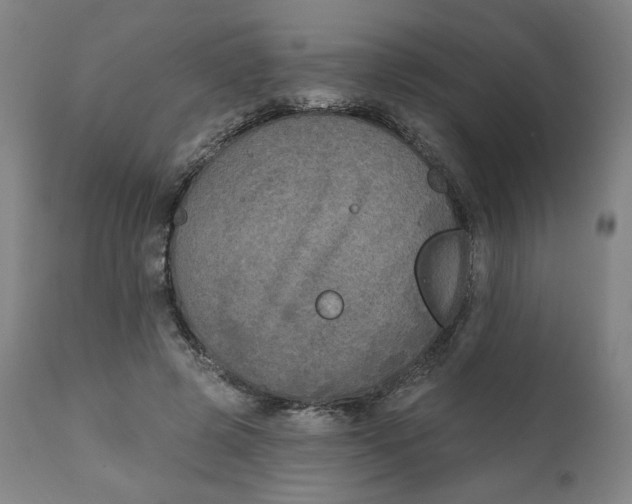 X0000111220545200907161254