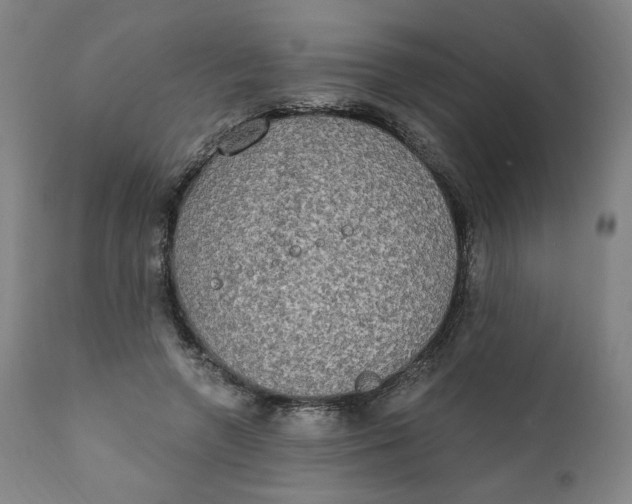X0000111220546200907161254