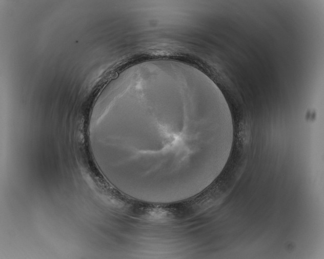 X0000111220547200907161254