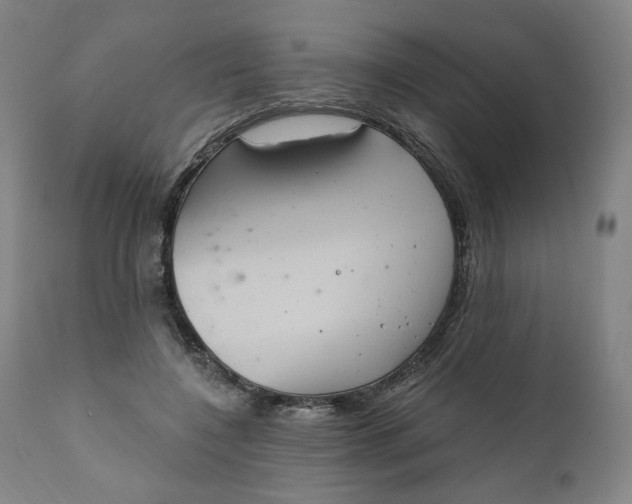 X0000111220548200907161254