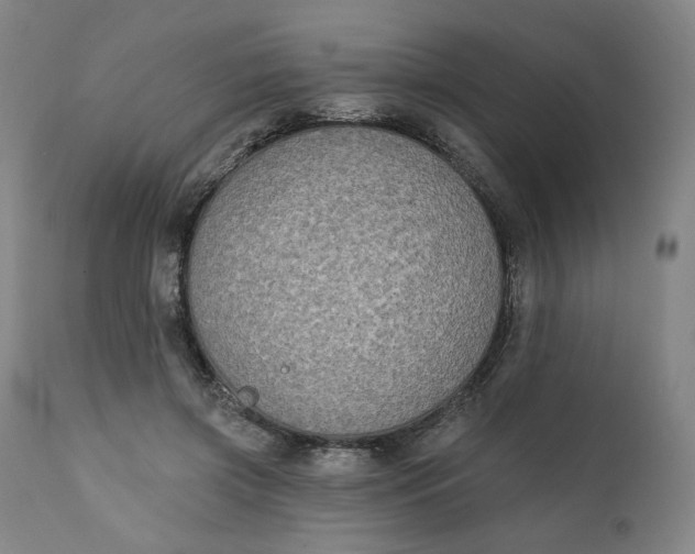 X0000111220549200907161254