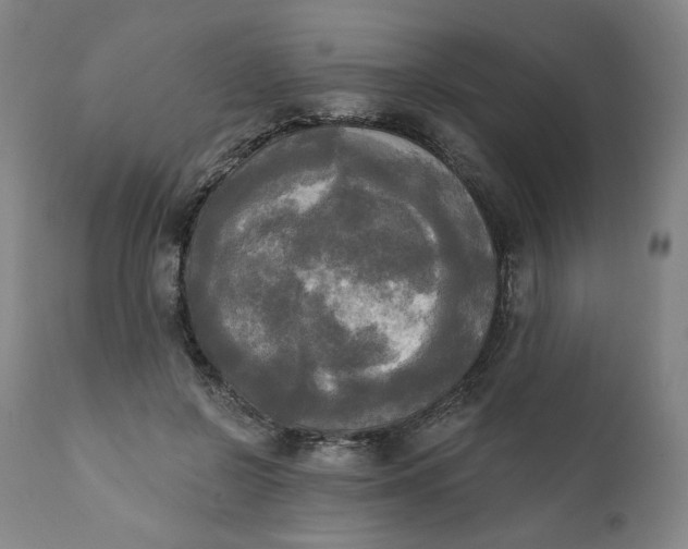 X0000111220550200907161254