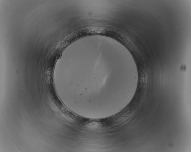 X0000111220551200907161254