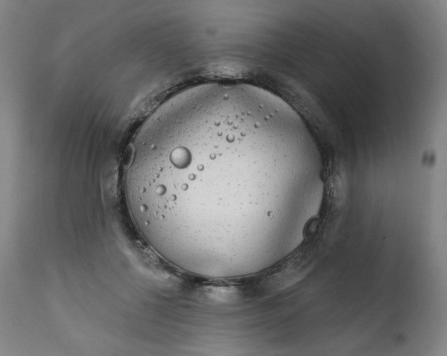 X0000111220552200907161254