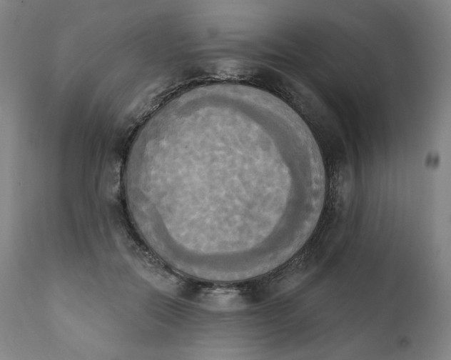 X0000111220554200907161254
