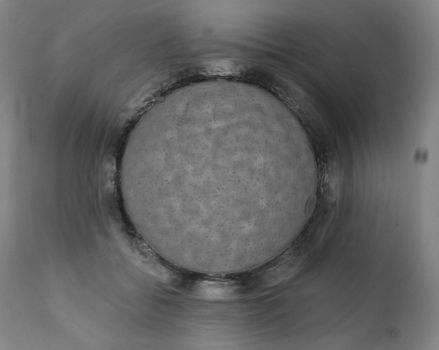 X0000111220556200907161254
