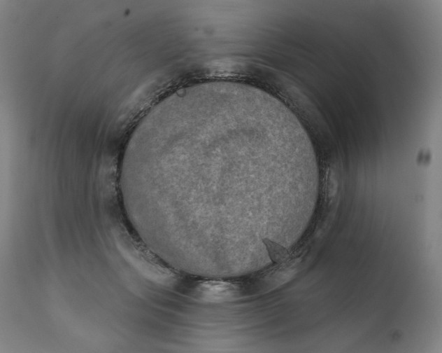 X0000111220557200907161254