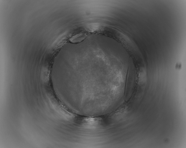 X0000111220558200907161254