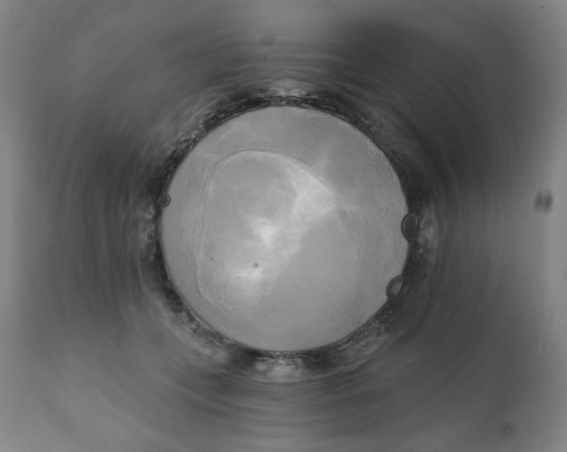 X0000111220559200907161254