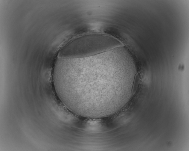 X0000111220560200907161254
