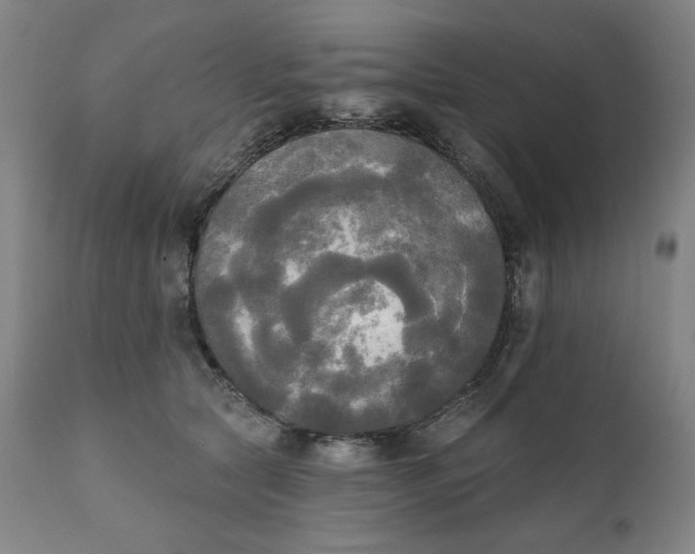 X0000111220561200907161254