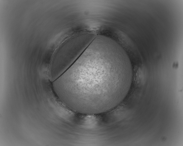 X0000111220562200907161254