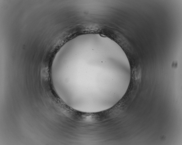 X0000111220564200907161254