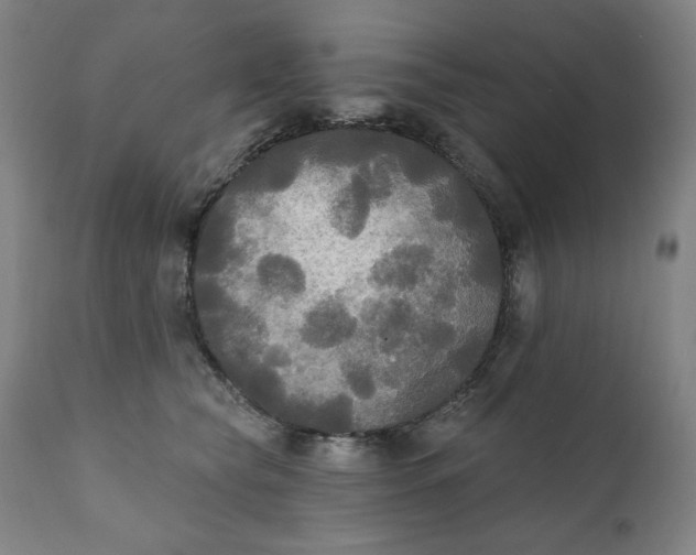 X0000111220565200907161254
