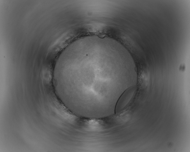 X0000111220566200907161254