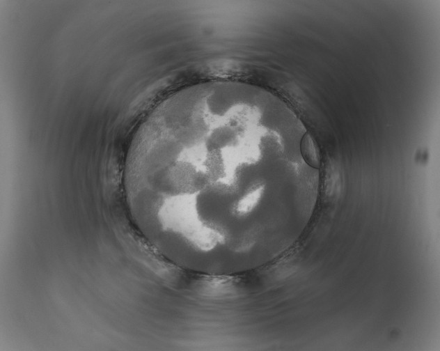 X0000111220569200907161254