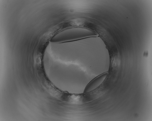 X0000111220570200907161254