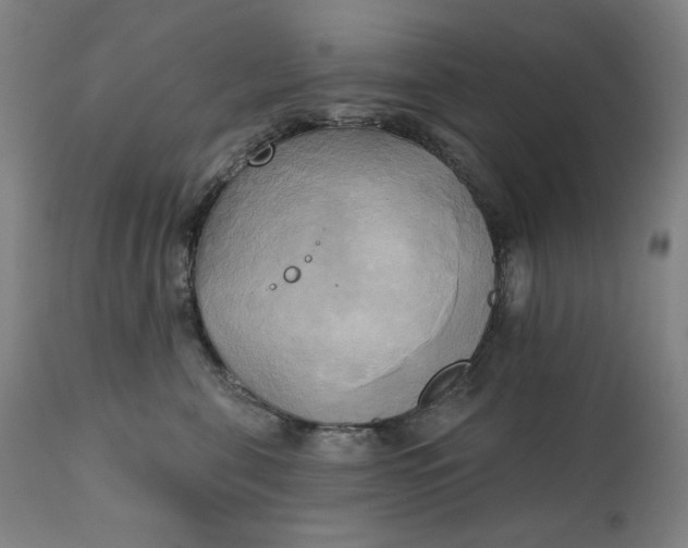 X0000111220571200907161254