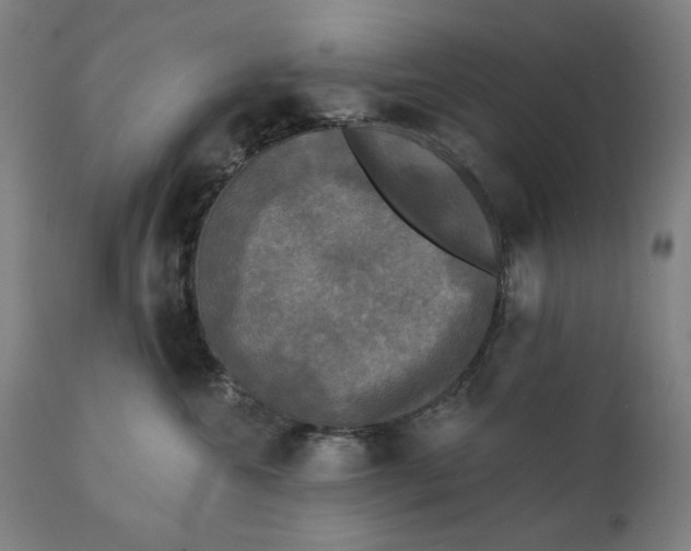 X0000111220572200907161254
