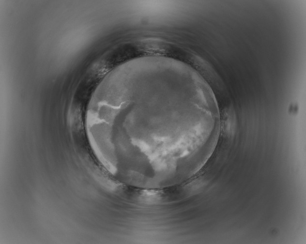 X0000111220573200907161254