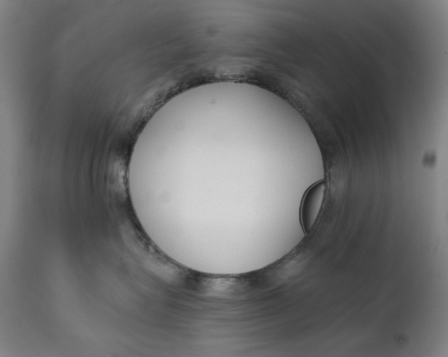 X0000111220575200907161254