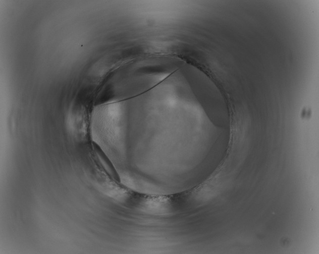 X0000111220576200907161254