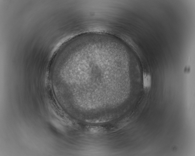 X0000111220579200907161253