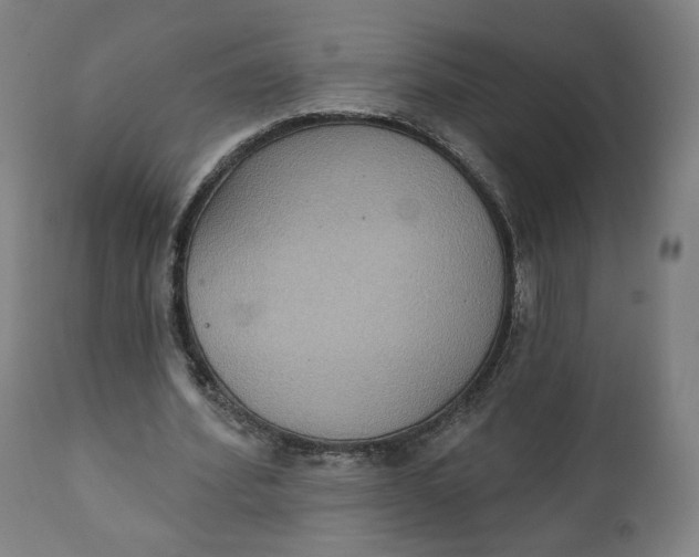 X0000111220580200907161253