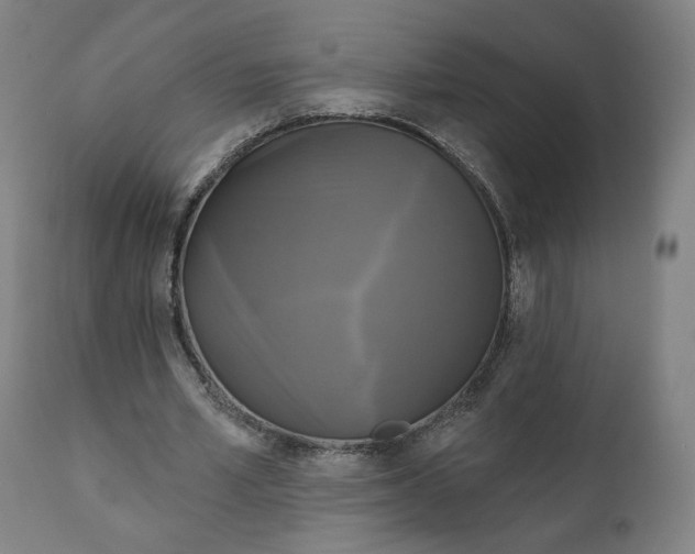 X0000111220581200907161253
