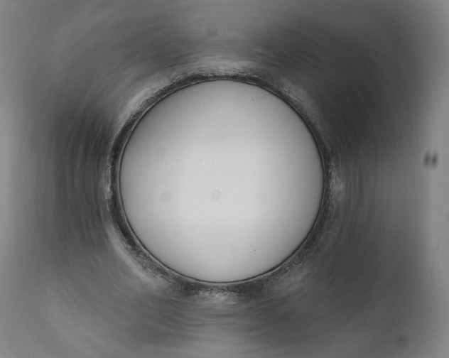 X0000111220582200907161253
