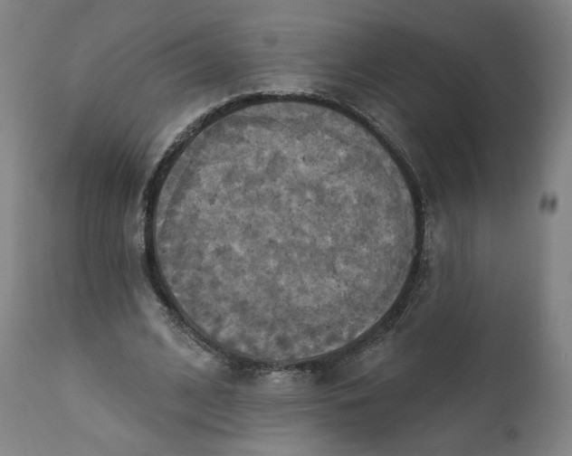 X0000111220584200907161253