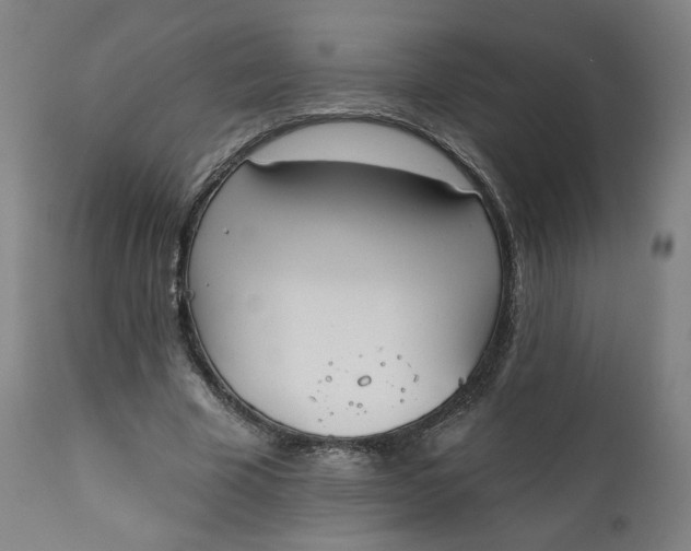 X0000111220585200907161253