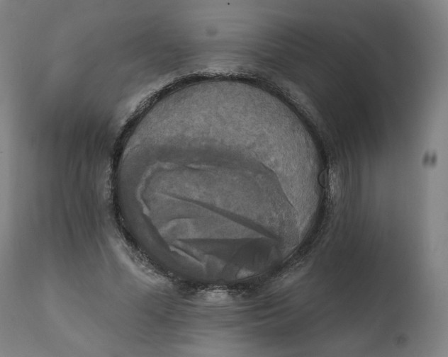 X0000111220588200907161253